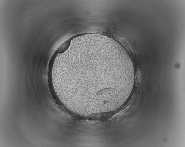 X0000089920292200707271742