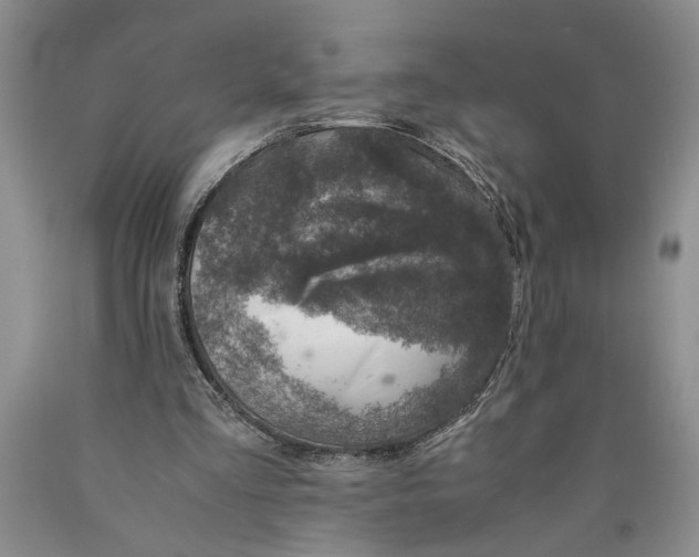 X0000089920293200707271742