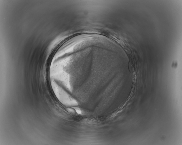 X0000089920294200707271742