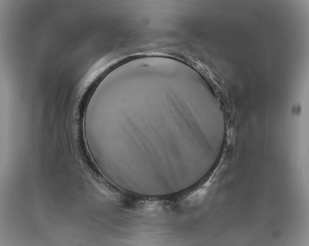 X0000089920295200707271742