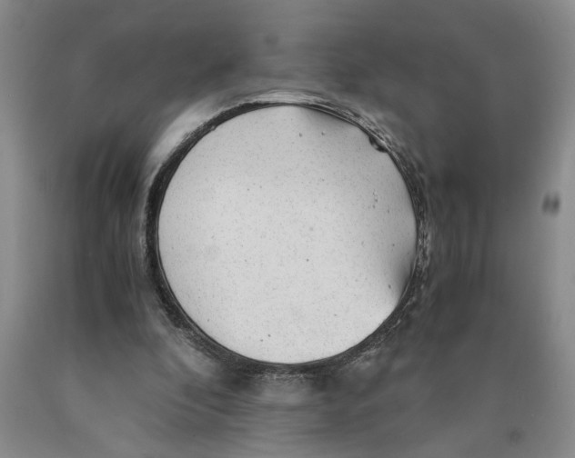 X0000089920296200707271742