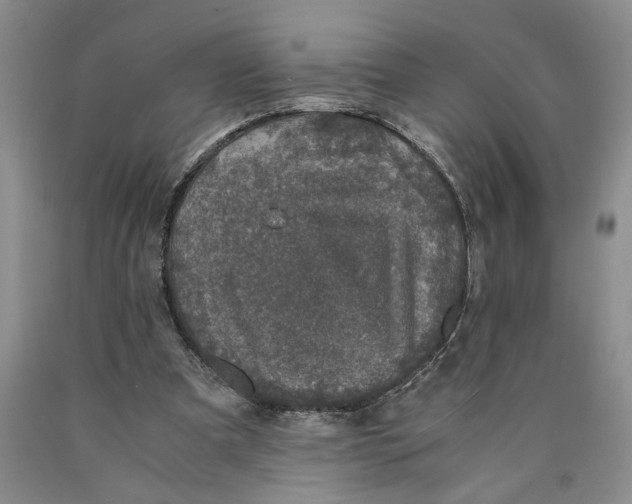 X0000089920297200707271742