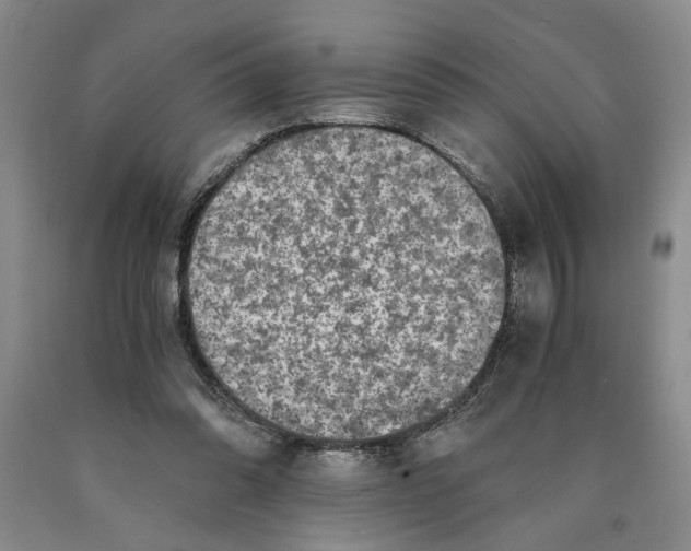 X0000089920302200707271742