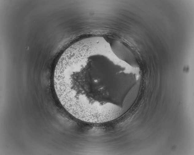 X0000089920303200707271742