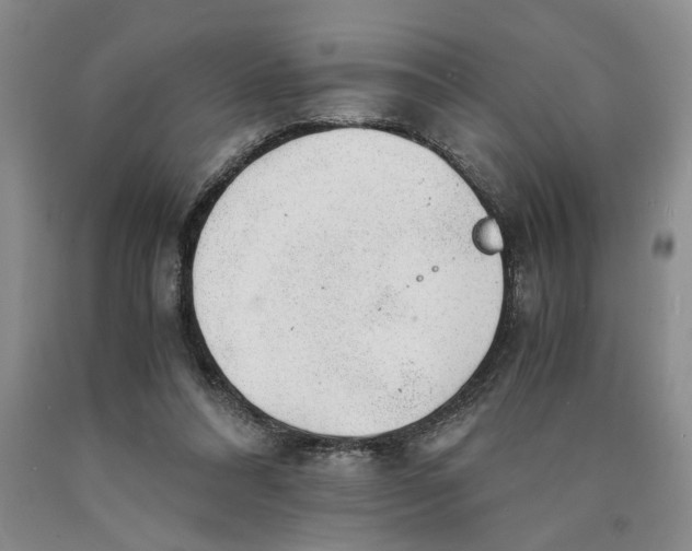 X0000089920304200707271742