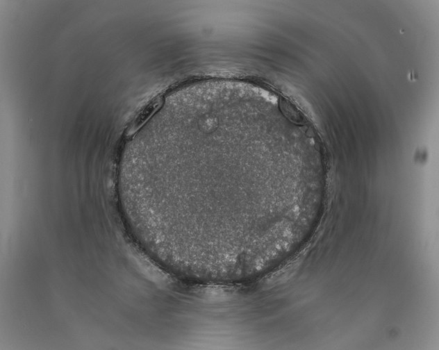 X0000089920305200707271742