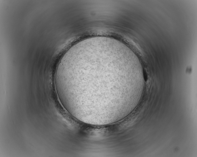 X0000089920306200707271742