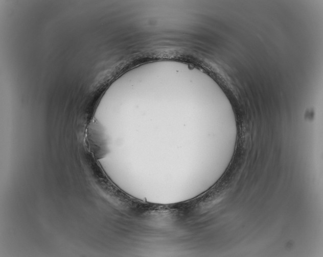 X0000089920307200707271742