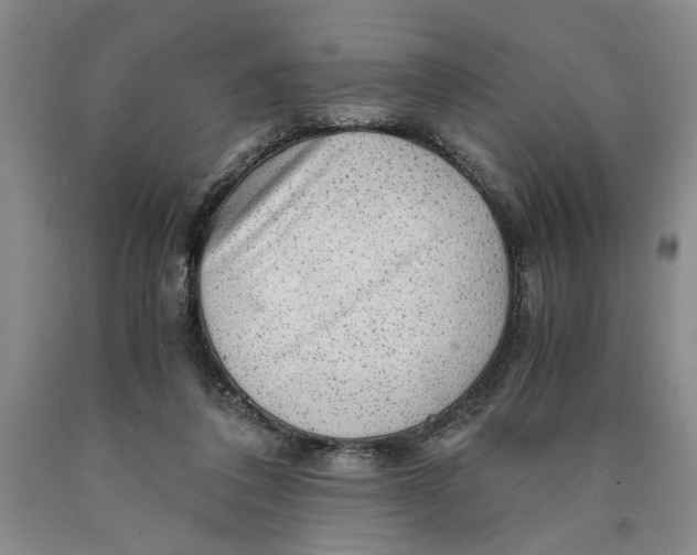 X0000089920308200707271742