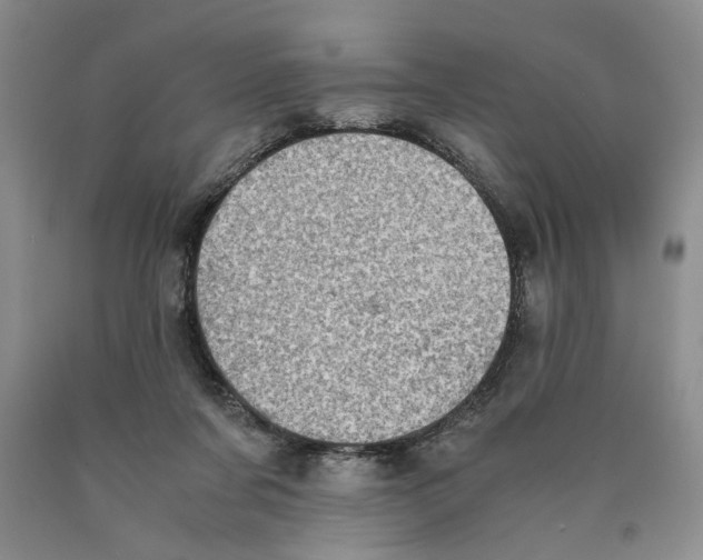 X0000089920311200707271742