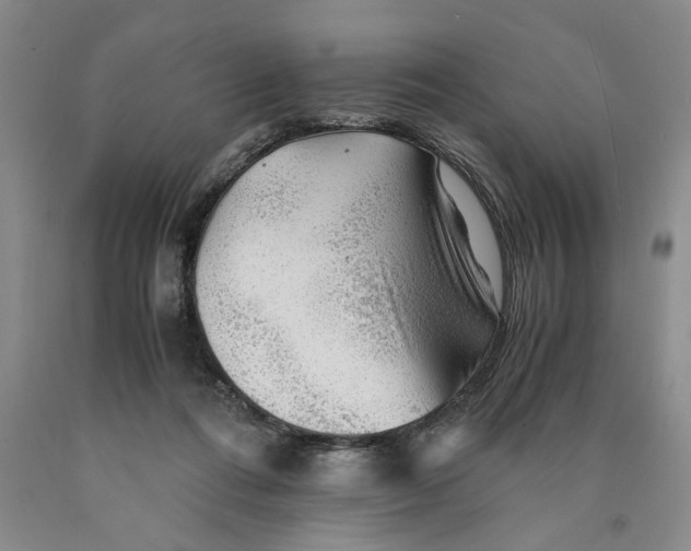 X0000089920312200707271742