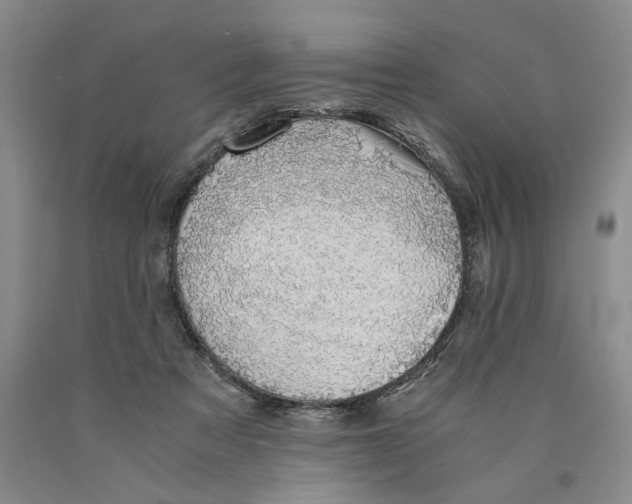 X0000089920313200707271741