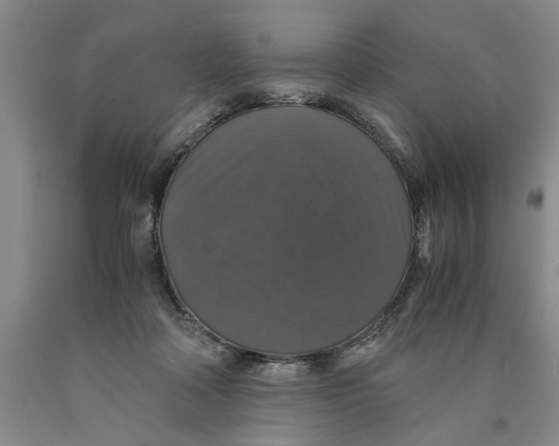 X0000089920314200707271741