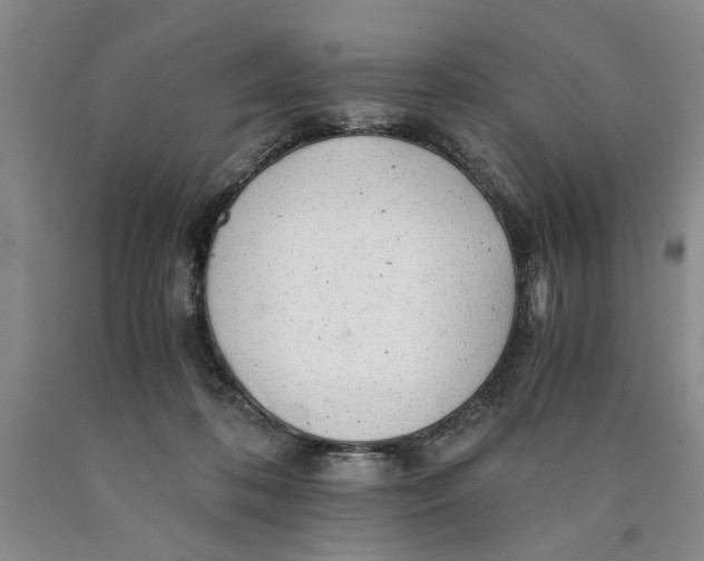 X0000089920316200707271741