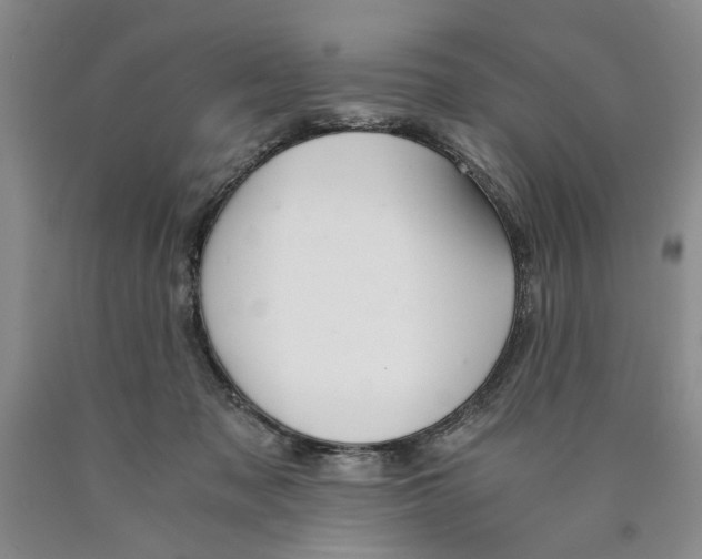 X0000089920317200707271741