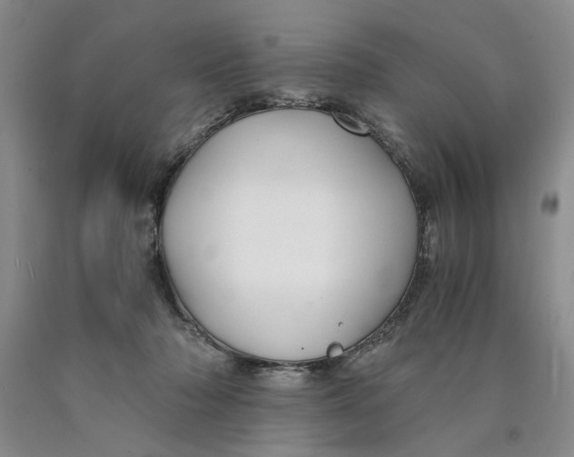 X0000089920318200707271741