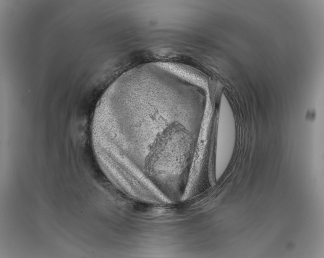 X0000089920319200707271741