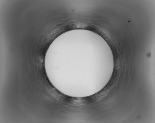 X0000089920321200707271741