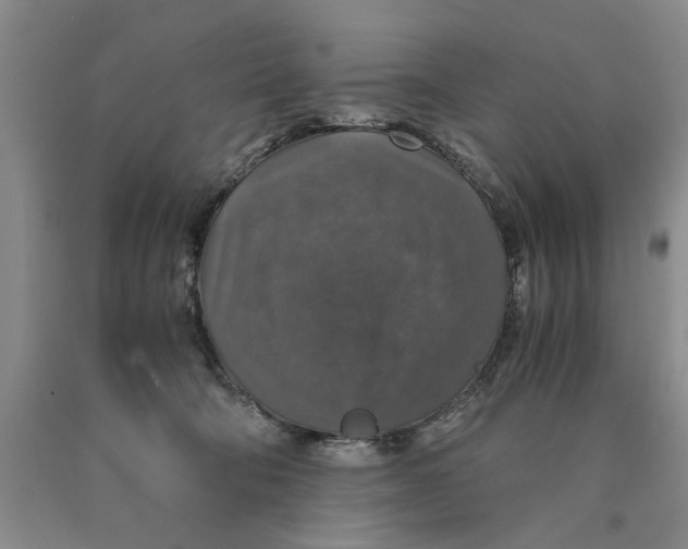 X0000089920322200707271741