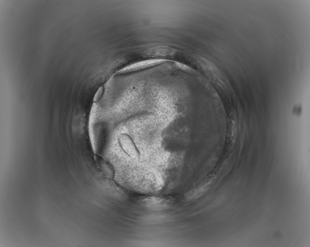 X0000089920326200707271741