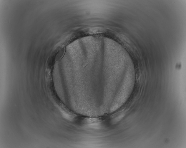 X0000089920327200707271741