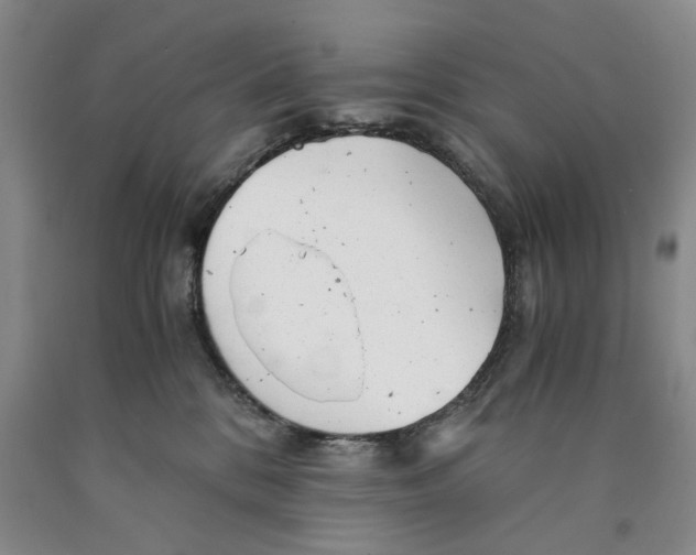 X0000089920328200707271741