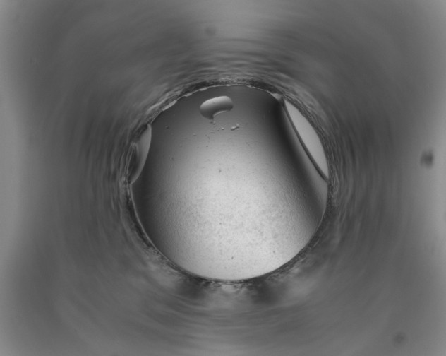 X0000089920329200707271741