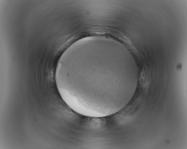 X0000089920330200707271741