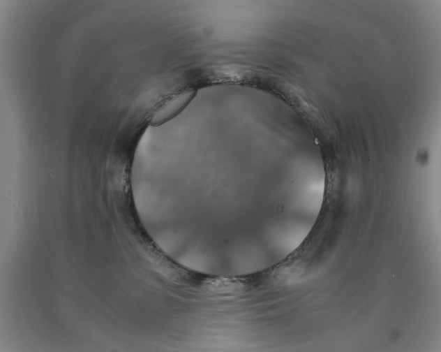 X0000089920331200707271741