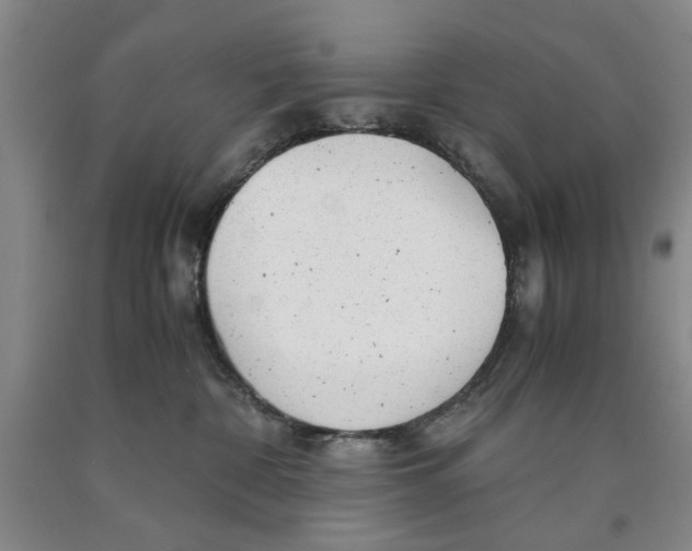 X0000089920332200707271741