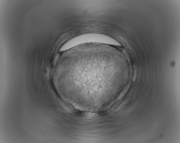 X0000089920333200707271741