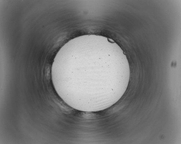 X0000089920336200707271741