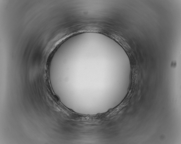 X0000089920338200707271740