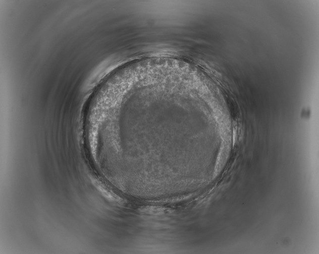 X0000089920339200707271740