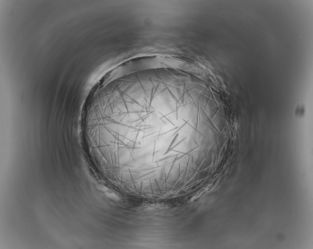 X0000089920340200707271740