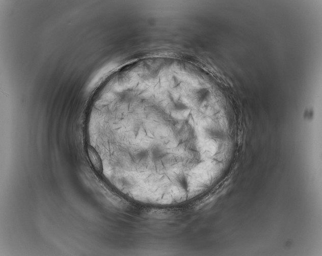 X0000089920341200707271740