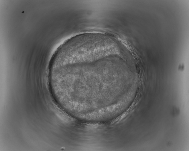 X0000089920342200707271740