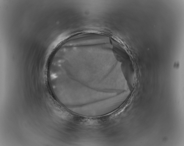 X0000089920343200707271741