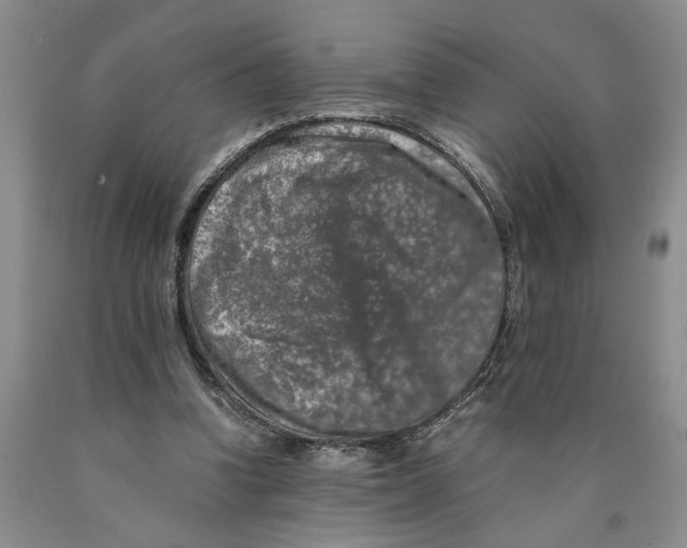 X0000089920346200707271741