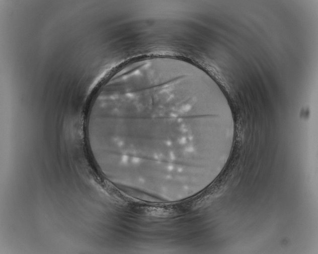 X0000089920347200707271741