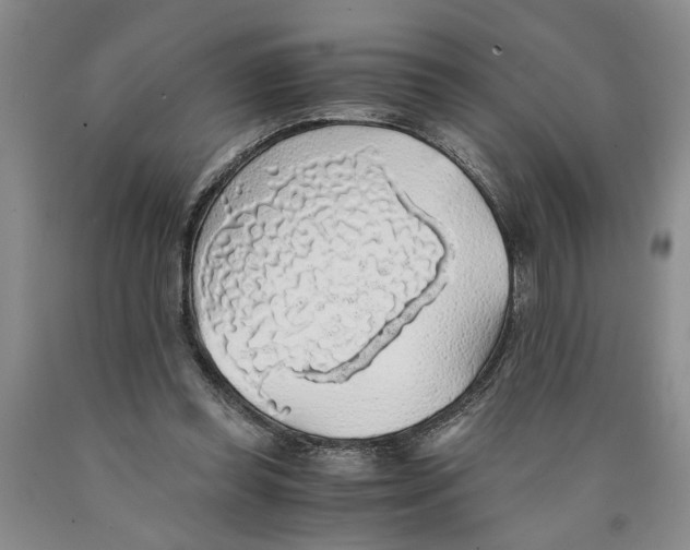 X0000089920349200707271741