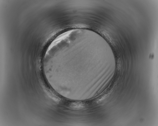 X0000089920351200707271741