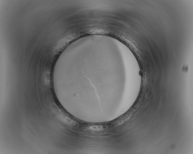 X0000089920353200707271741