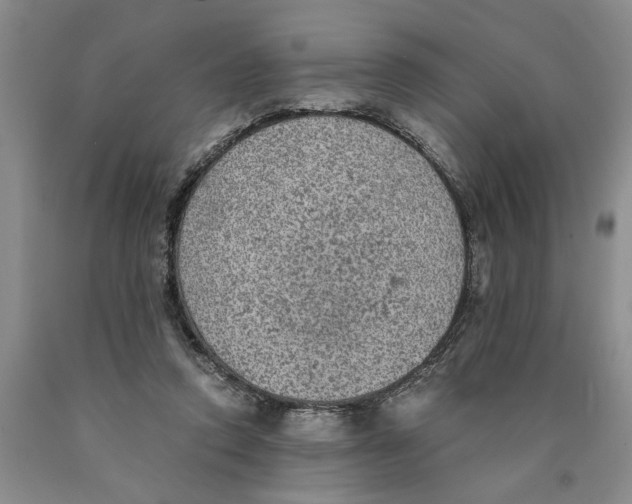 X0000089920354200707271741