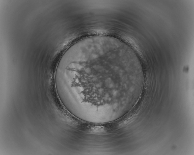 X0000089920355200707271741