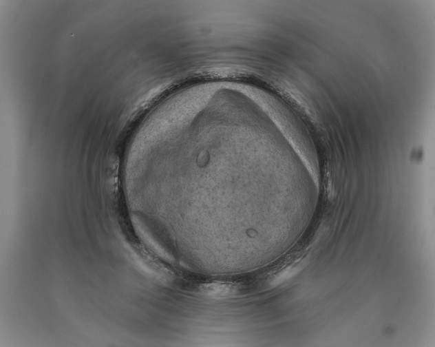 X0000089920356200707271741