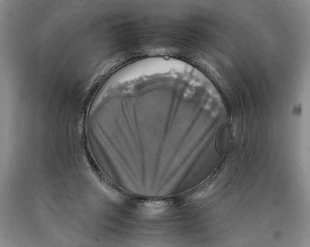 X0000089920357200707271741