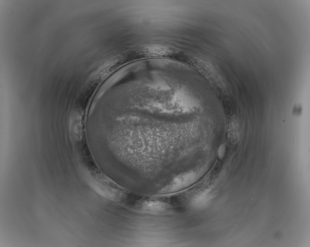 X0000089920360200707271741