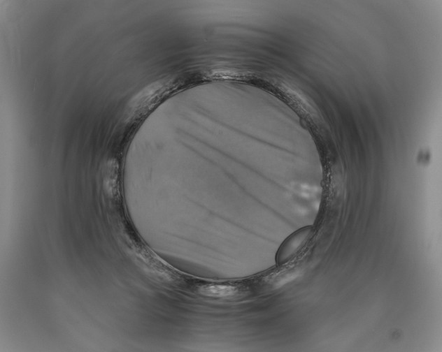 X0000089920361200707271741