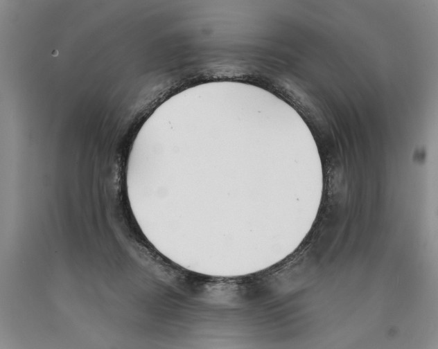 X0000089920362200707271741